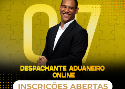 DESPACHANTE ADUANEIRO online